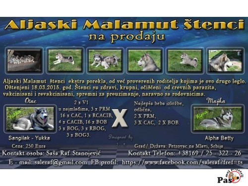 Tamaskan prodaja hot sale